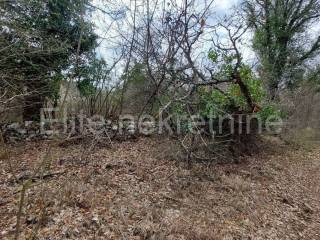 Agricultural plot, Sale, Tinjan, Kringa