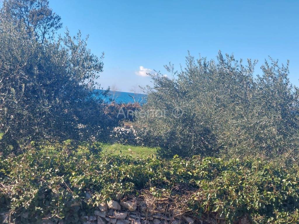 Plot for construction, Sale, Nin, Zaton