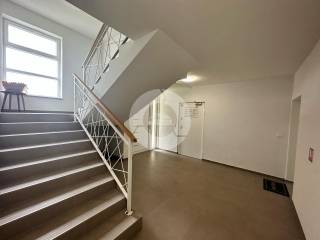 Flat in a new building, Sale, Tar-Vabriga, Vabriga