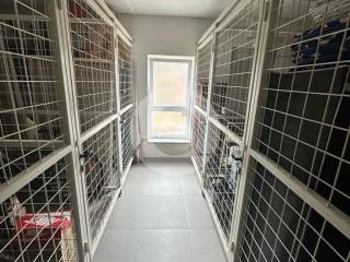 Flat in a new building, Sale, Tar-Vabriga, Vabriga