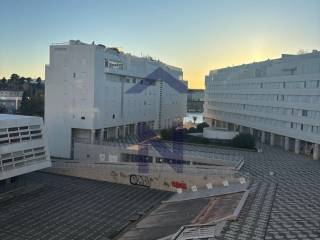 Flat in a building, Rent, Zadar, Zadar