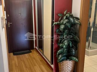 Apartment, Sale, Povljana, Povljana