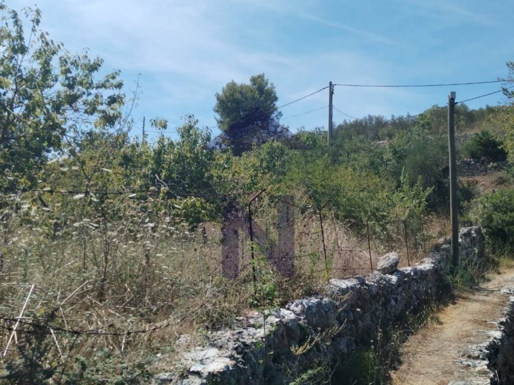 Plot for construction, Sale, Pašman, Banj