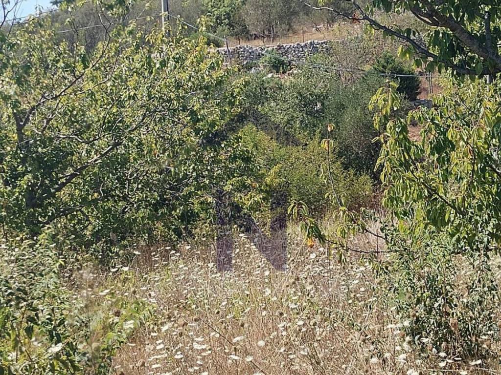 Plot for construction, Sale, Pašman, Banj