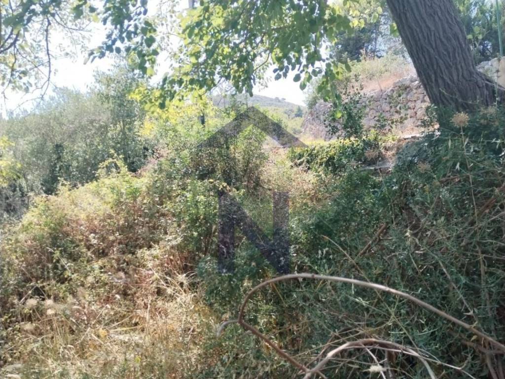 Plot for construction, Sale, Pašman, Banj