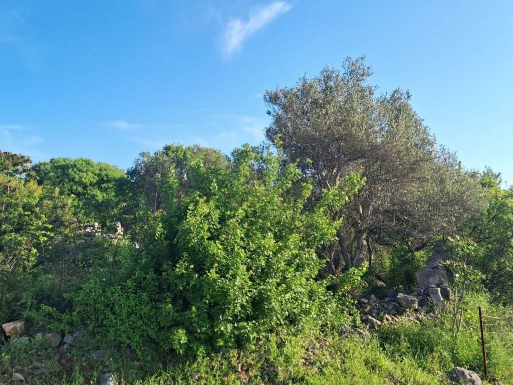 Plot for construction, Sale, Vrbnik, Vrbnik