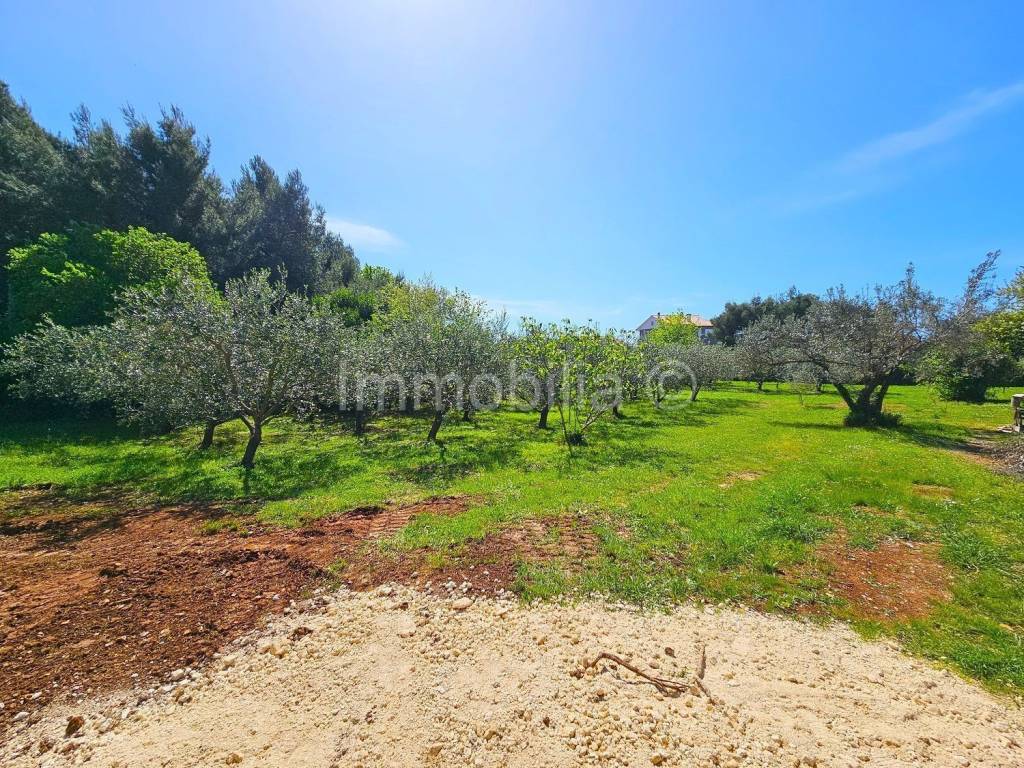 Plot for residential construction, Sale, Medulin, Medulin