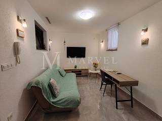 Apartman s okucnicom, Prodaja, Malinska-dubašnica, Malinska