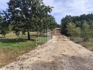 Plot for construction, Sale, Barban, Barban