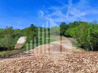 Plot for construction, Sale, Barban, Barban