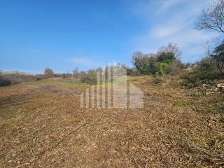 Plot for construction, Sale, Poreč, Poreč