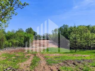 Plot for construction, Sale, Barban, Barban