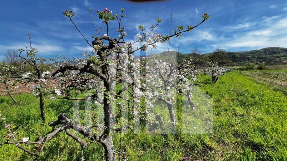 Agricultural plot, Sale, Bistra, Donja Bistra
