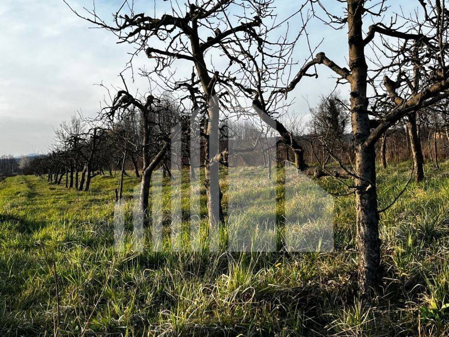 Agricultural plot, Sale, Bistra, Donja Bistra