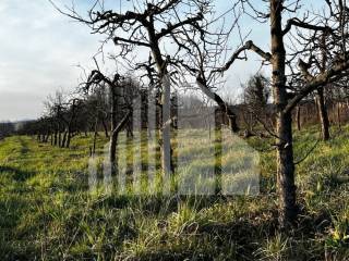 Agricultural plot, Sale, Bistra, Donja Bistra