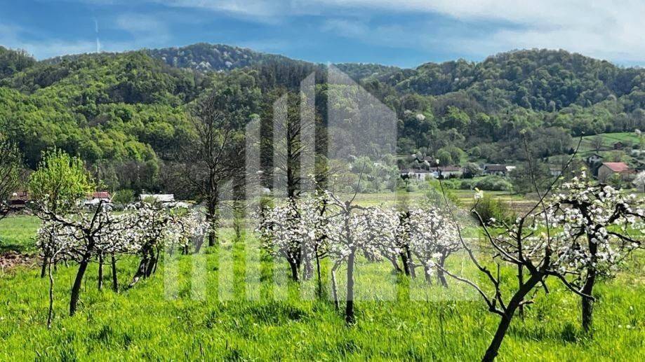 Agricultural plot, Sale, Bistra, Donja Bistra