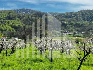 Agricultural plot, Sale, Bistra, Donja Bistra