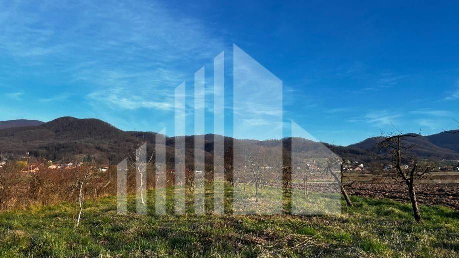 Agricultural plot, Sale, Bistra, Donja Bistra