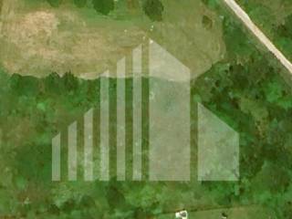 Agricultural plot, Sale, Poreč, Poreč