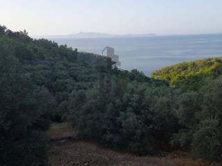 Construction plot for tourism, Sale, Blato, Prižba