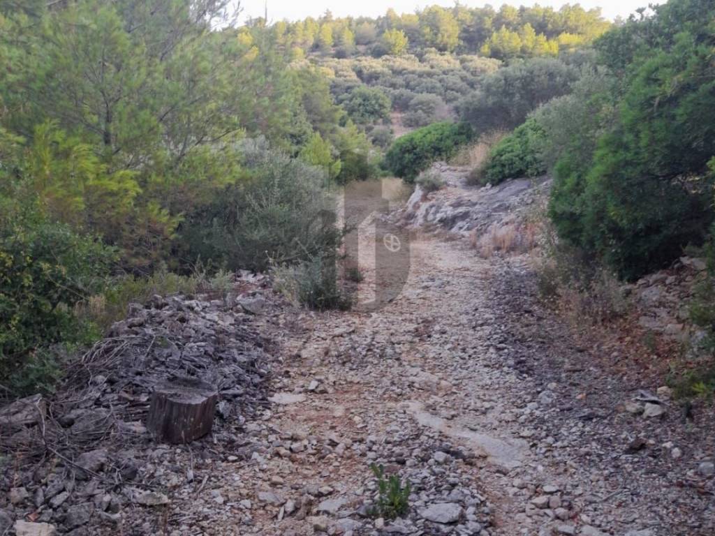 Construction plot for tourism, Sale, Blato, Prižba