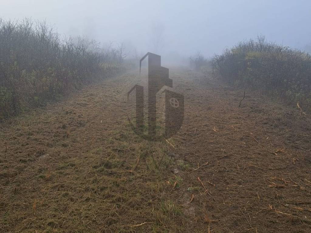 Agricultural plot, Sale, Velika Gorica - Okolica, Buševec