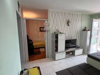 House with apartments, Sale, Vir, Vir