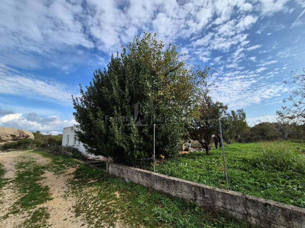 Detached house, Sale, Zadar, Zadar