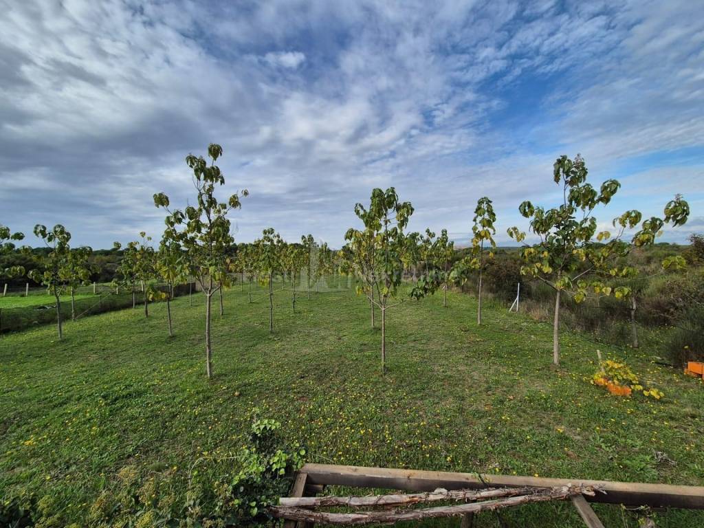 Detached house, Sale, Zadar, Zadar