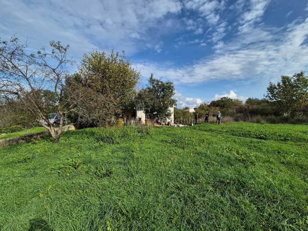 Detached house, Sale, Zadar, Zadar