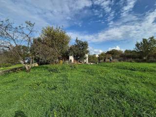 Detached house, Sale, Zadar, Zadar