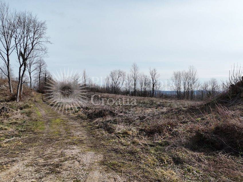 Plot for construction, Sale, Rakovica, Rakovica