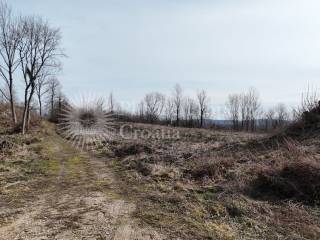 Plot for construction, Sale, Rakovica, Rakovica