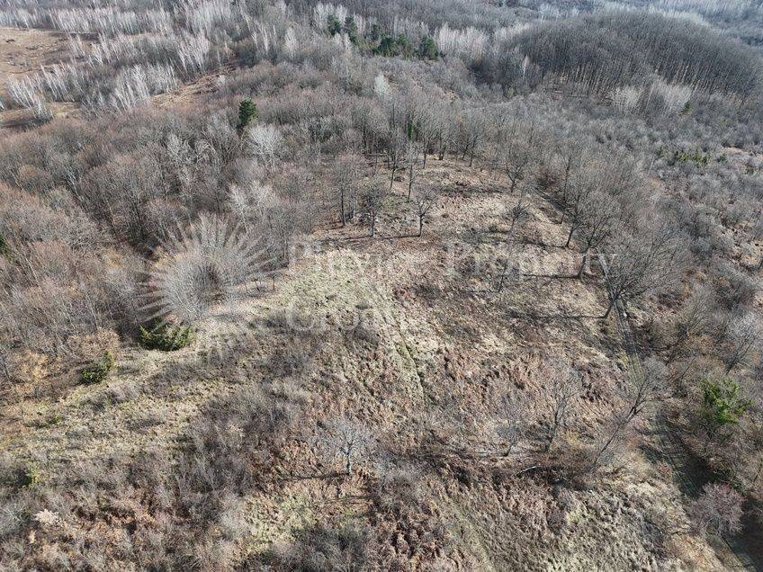 Plot for construction, Sale, Rakovica, Rakovica