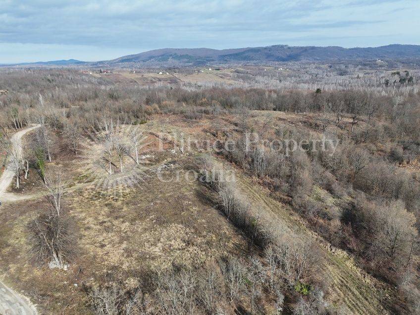 Plot for construction, Sale, Rakovica, Rakovica