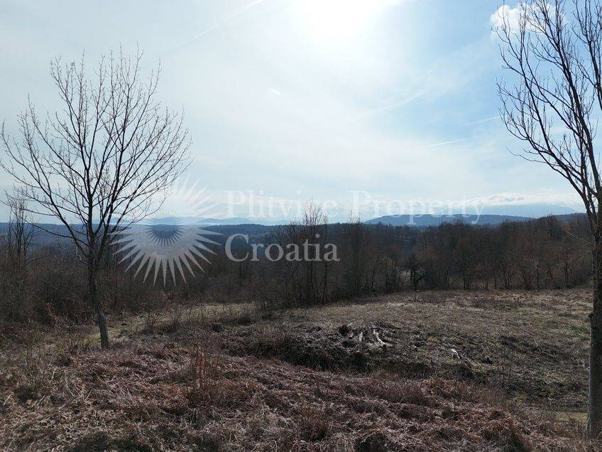 Plot for construction, Sale, Rakovica, Rakovica