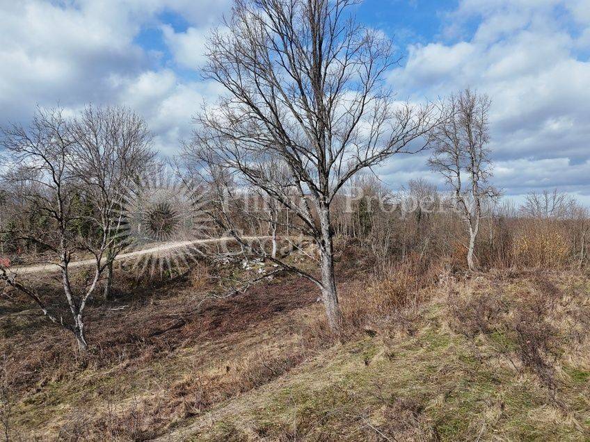 Plot for construction, Sale, Rakovica, Rakovica