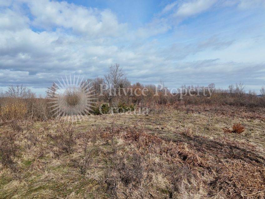 Plot for construction, Sale, Rakovica, Rakovica