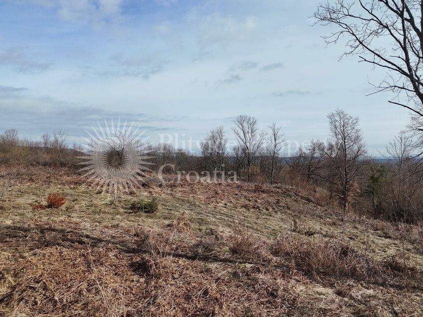 Plot for construction, Sale, Rakovica, Rakovica