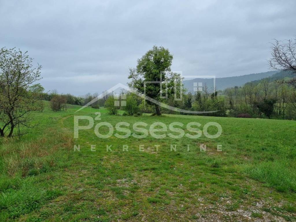 Buzet, Roč