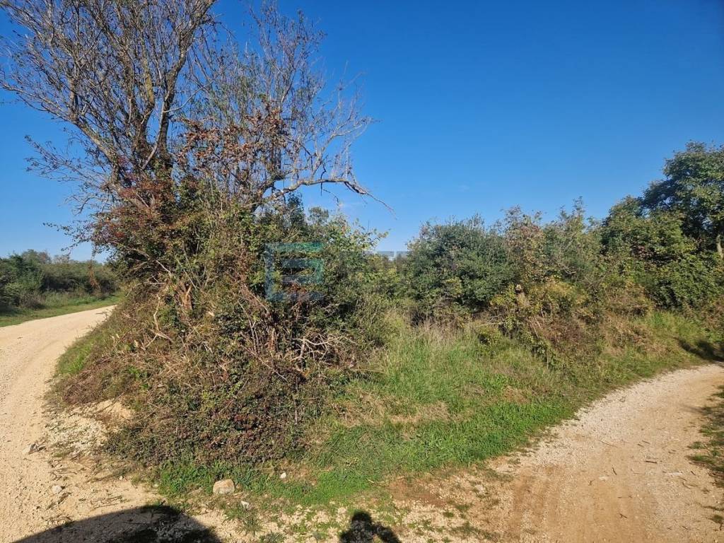 Plot for construction, Sale, Sveti Filip i Jakov, Sveti Filip i Jakov