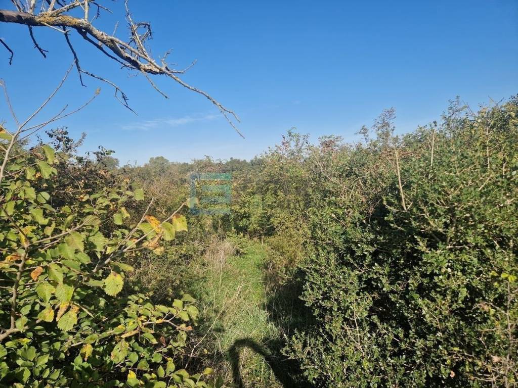 Plot for construction, Sale, Sveti Filip i Jakov, Sveti Filip i Jakov