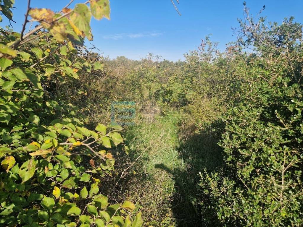 Plot for construction, Sale, Sveti Filip i Jakov, Sveti Filip i Jakov