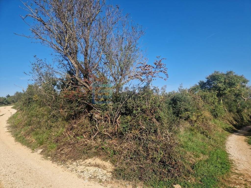 Plot for construction, Sale, Sveti Filip i Jakov, Sveti Filip i Jakov