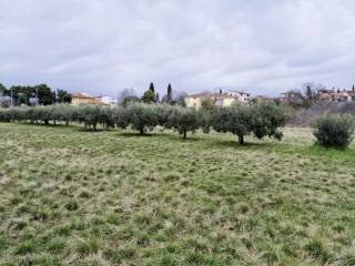 Land plot - other, Sale, Umag, Murine