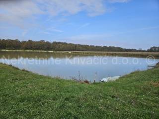 Residential-commercial property, Sale, Čazma, Suhaja