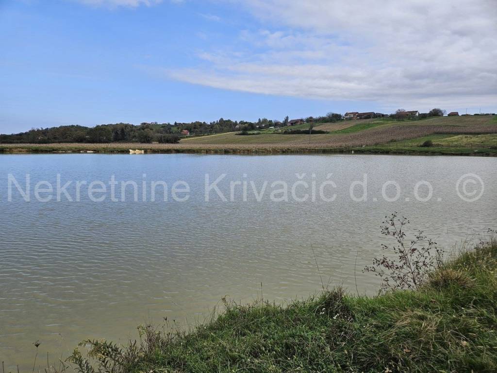 Residential-commercial property, Sale, Čazma, Suhaja