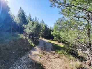 Land plot - other, Sale, Omiš, Omiš