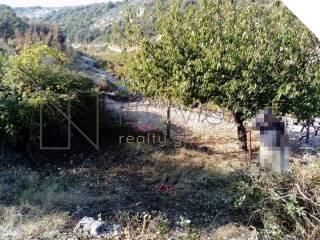 Agricultural plot, Sale, Postira, Dol