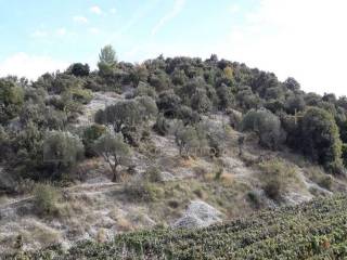 Agricultural plot, Sale, Postira, Dol